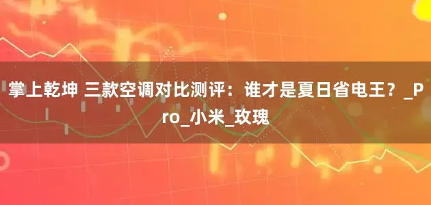 掌上乾坤 三款空调对比测评：谁才是夏日省电王？_Pro_小米_玫瑰