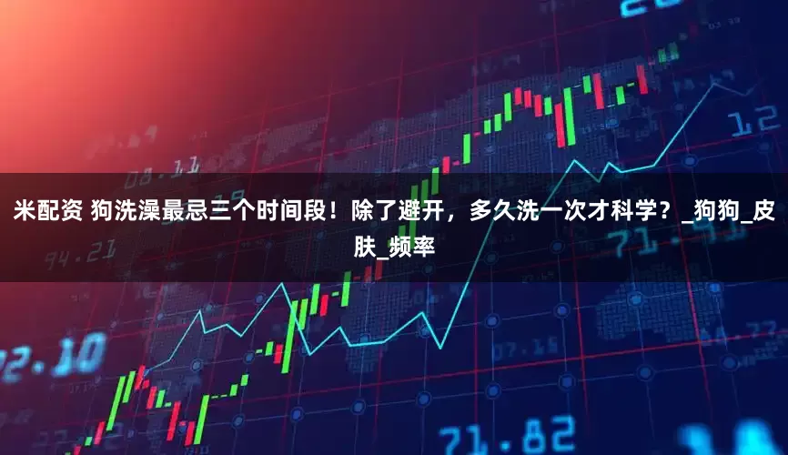 米配资 狗洗澡最忌三个时间段！除了避开，多久洗一次才科学？_狗狗_皮肤_频率